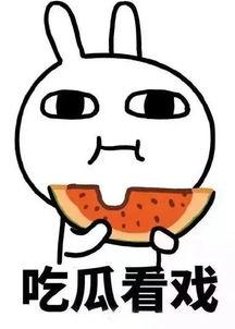 吃瓜娱乐间真假,真假吃瓜，真相大白